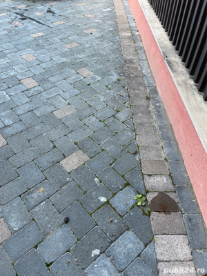 Curatare pavaje - imagine 8