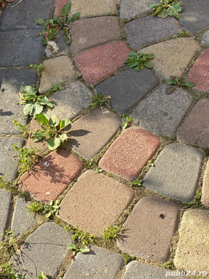 Curatare pavaje - imagine 7