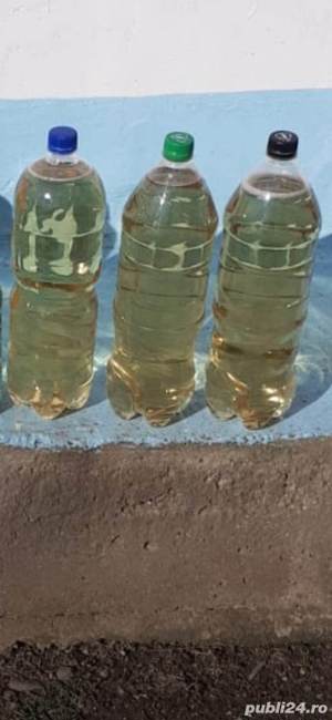 Vin natural din Husi