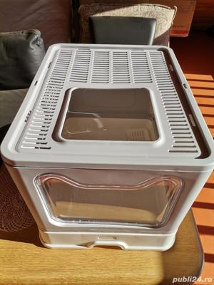 Litiera  pisici  domestice