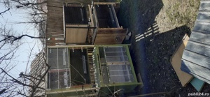 custi pentru iepuri sau păsări  - imagine 4