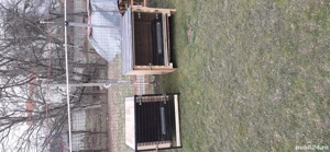 custi pentru iepuri sau păsări  - imagine 10