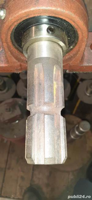 Con de  crapat lemne - imagine 2