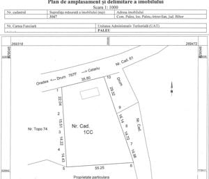 Vindem teren in suprafata de 3.167 mp in Paleu la sosea cu toate utilitatile - imagine 1