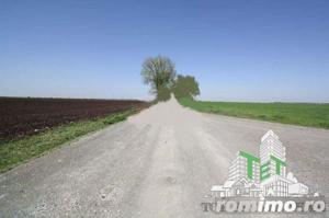 Teren  de vazare pt investitie, Sinesti, 4 eur   mp, 21000mp , Ialomita - imagine 4