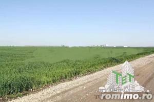 Teren  de vazare pt investitie, Sinesti, 4 eur   mp, 21000mp , Ialomita