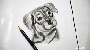 Caine  , boieresc - imagine 2