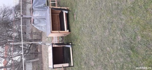 custi pentru iepuri sau păsări  - imagine 17