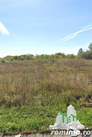 Spatiu industrial de vanzare in Otopeni cu teren de 59.900 mp - imagine 4