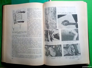 Patologie medico-legala, Gh. Scripcaru - imagine 6