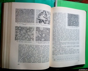 Patologie medico-legala, Gh. Scripcaru - imagine 4