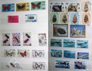 Timbre obliterate (ștampilate) - lot nr. 2 - natură - imagine 6