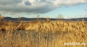 Vand domeniu intravilan cu 2 lacuri de pescuit, Racovita, Sibiu - imagine 2