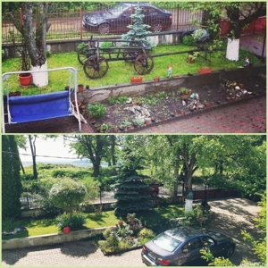 Întrețineri grădini și spații verzi - imagine 2