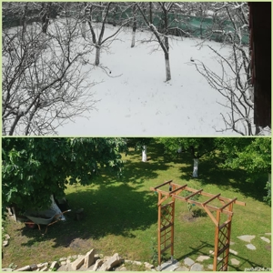 Întrețineri grădini și spații verzi - imagine 3