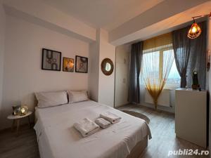 Cazare LUX Regim Hotelier Iasi Palas - Newton - Copou - imagine 2