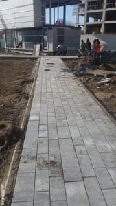 Persoană individuală  - imagine 9