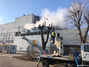 Tocator crengi =Servicii peisagistice 