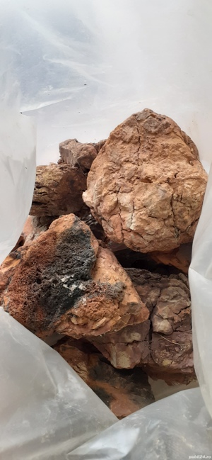 Vand acvariu JUWEL de 300 litri  + Accesori - imagine 3