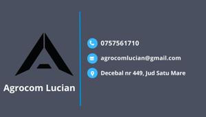 Sofer camion cu experienta intern si local - imagine 2