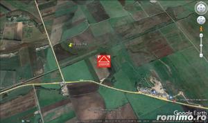 Teren arabil, zona Turnu