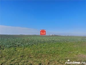 Teren arabil, zona Turnu - imagine 4