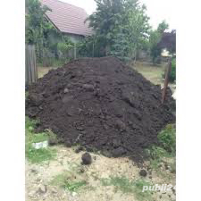 Pamant negru vegetal  - imagine 5