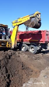 Pamant negru vegetal  - imagine 3