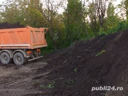 Pamant negru vegetal  - imagine 4