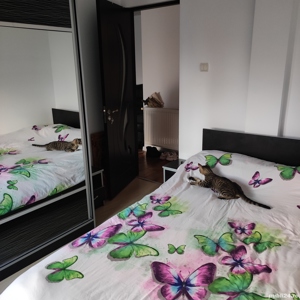 Apartament 2 camere si dependințe  - imagine 10