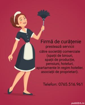 Prestari servicii de curatenie