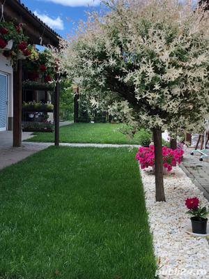 Servicii profesionale de gradinarit