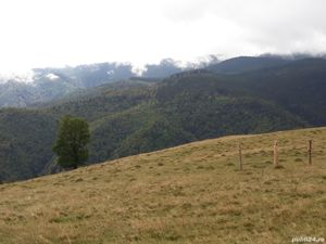 Vand teren Paltinis-Sibiu, zona Valari, intre Arka Park si Arena Platos - imagine 5