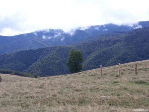 Vand teren Paltinis-Sibiu, zona Valari, intre Arka Park si Arena Platos - imagine 3