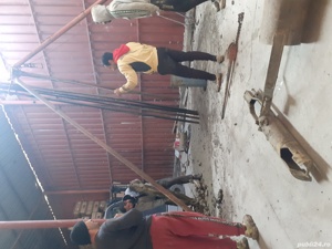 Foraje puțuri de mică și mare adâncime  - imagine 3