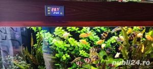 Termostat controler temperatura pt incalzire incubator oua pui gaina acvarii - imagine 3