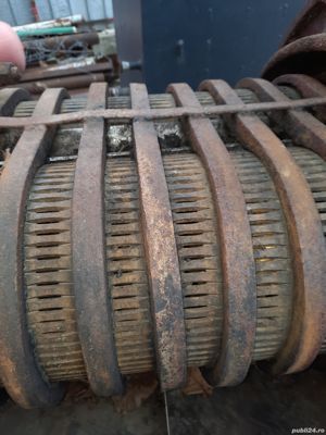 Vand presa pentru struguri ducher - imagine 3