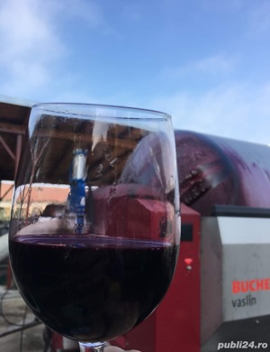 Vin de Vita Nobila Cabernet Sauvignon