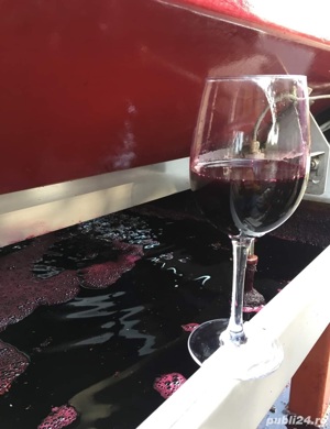 Vin de Vita Nobila Cabernet Sauvignon - imagine 3