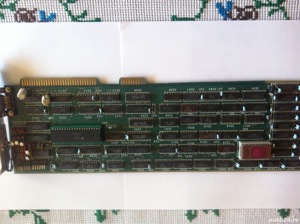 Placi laa gata de junior xt 