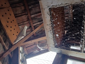 porumbei ornament - imagine 2