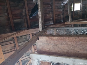 porumbei ornament - imagine 3