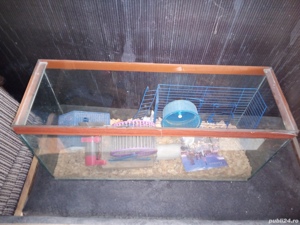 Acvariu ptr pesti - imagine 3