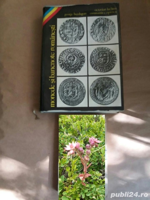 catalog numismatică