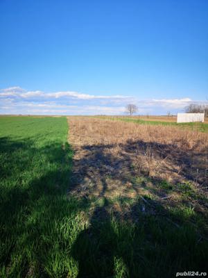 Teren intravilan 2500 mp, strada Barba Rasa, Floresti Stoenesti Giurgiu - imagine 2