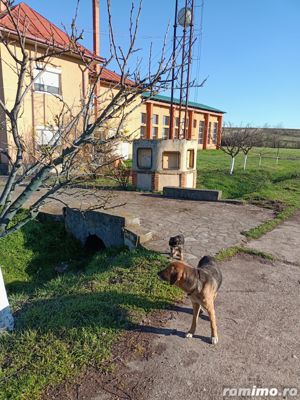 Slatina adiacent la 6 km  teren 21819 mp Hala 1400 mp casa P+1 cu anexe - imagine 8