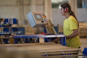 Gard de salcam, la rola - imagine 7