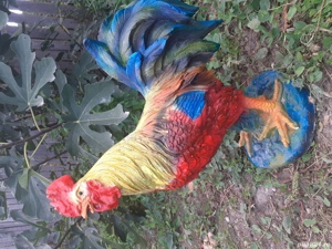 Matrite silikon flexibile - imagine 3