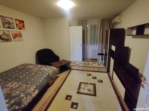 Cazare regim hotelier Timișoara central - Apartament 1 camera - imagine 2