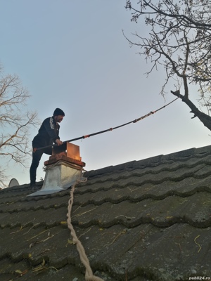 Taiere toaletare copac,defrisare teren,sapam maruntim si nivelam pamint gradini,Cosire vegetatie - imagine 4